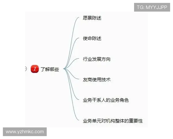 成都排球队在亚运会中的团队协作表现分析与启示
