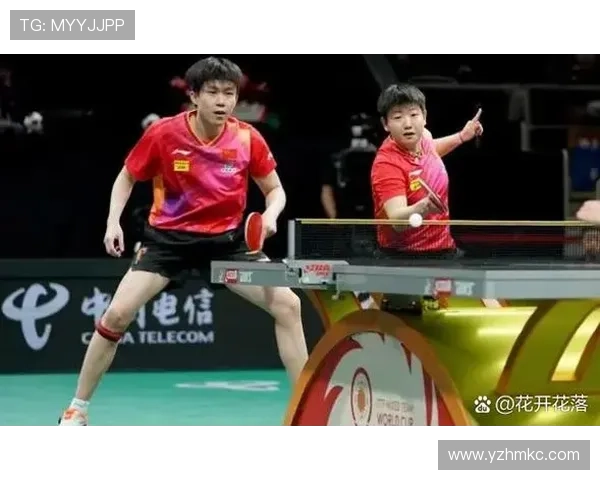 世界杯点评：西安羽毛球队的实力表现